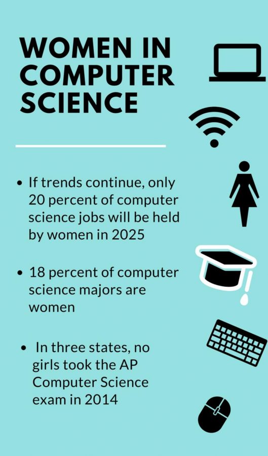 Perspectives On Gender Equality In Computer Science The Pause 