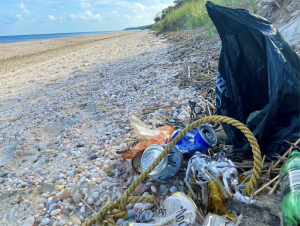 Wastes (cans, plastics, and rope) found at Shoreham beach.